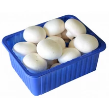 Gomba 500g 