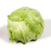 Jégsaláta