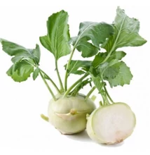 Karalábé
