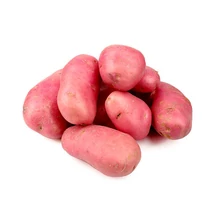 Burgonya (Piros)