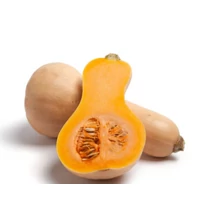 Sütőtök