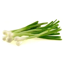 Újhagyma