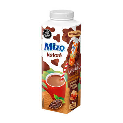 Mizo Kakaó dobozos 450ml