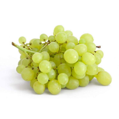 Fehér szőlő
