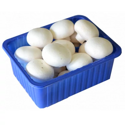 Gomba 500g 