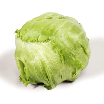 Jégsaláta