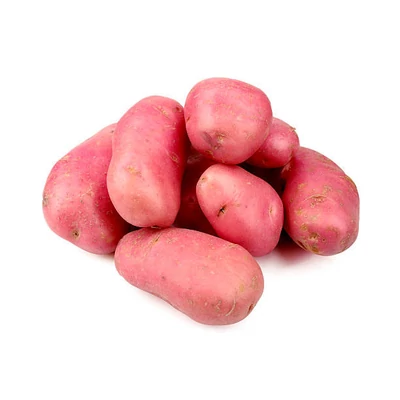 Burgonya (Piros)