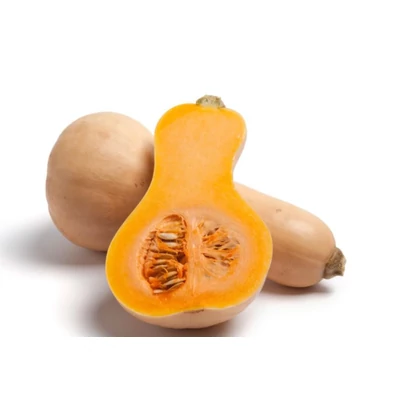 Sütőtök